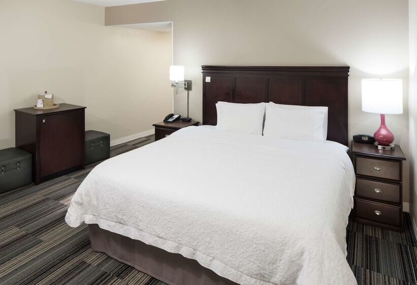 ホテル Hampton Inn & Suites Omaha Downtown
