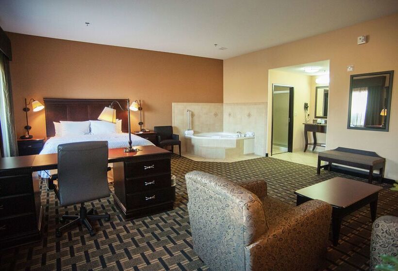 בית מלון כפרי Hampton Inn & Suites Palestine