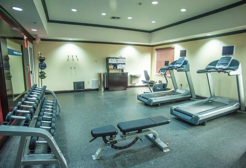 בית מלון כפרי Hampton Inn & Suites Palestine