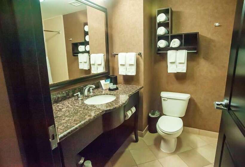 בית מלון כפרי Hampton Inn & Suites Palestine