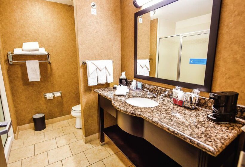 فندق Hampton Inn And Suites Pine Bluff