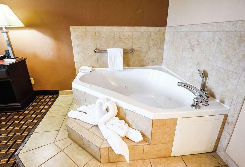 فندق Hampton Inn And Suites Pine Bluff