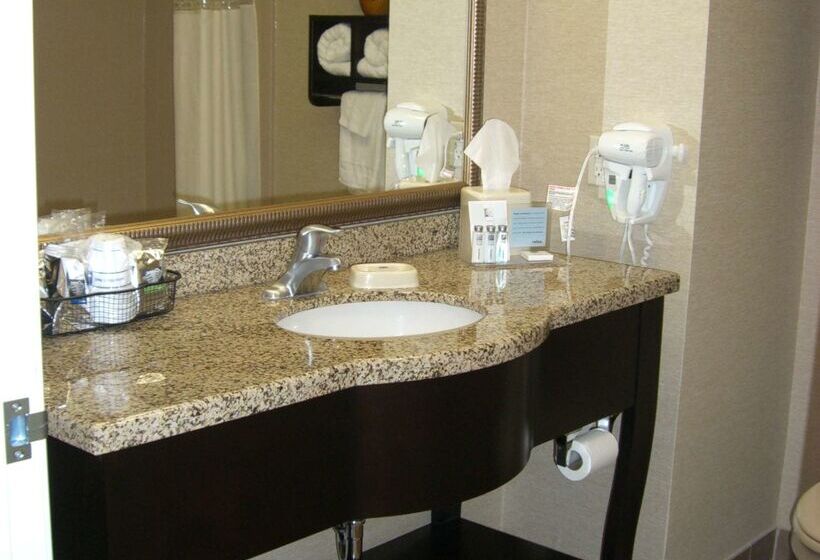 فندق Hampton Inn & Suites Pueblo/north