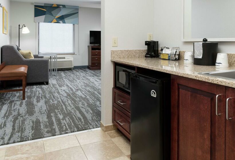 ホテル Hampton Inn & Suites Rochester North