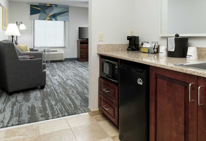 ホテル Hampton Inn & Suites Rochester North