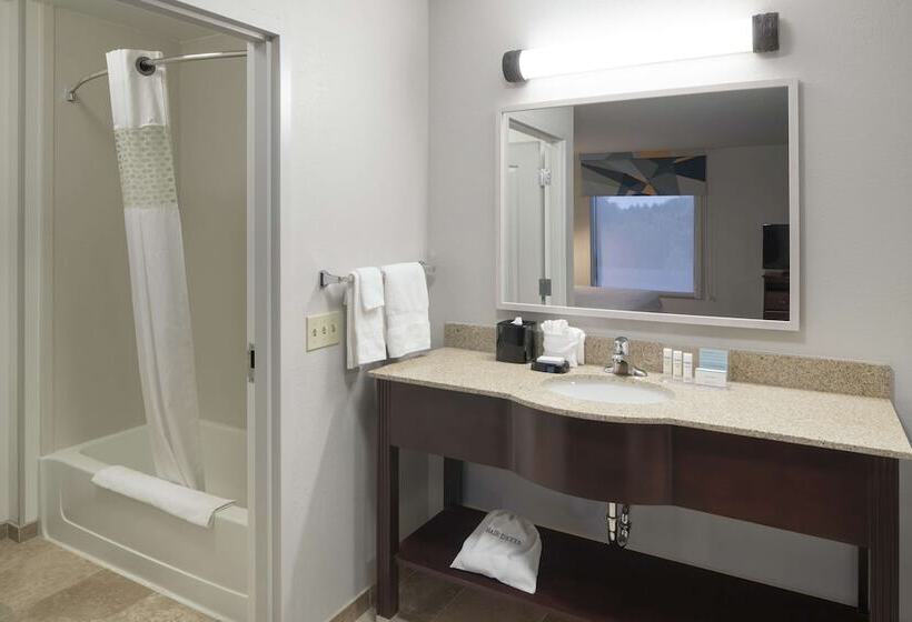 هتل Hampton Inn & Suites Rochester North