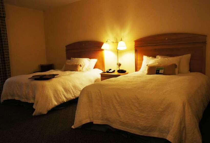 ホテル Hampton Inn Dallasrockwall