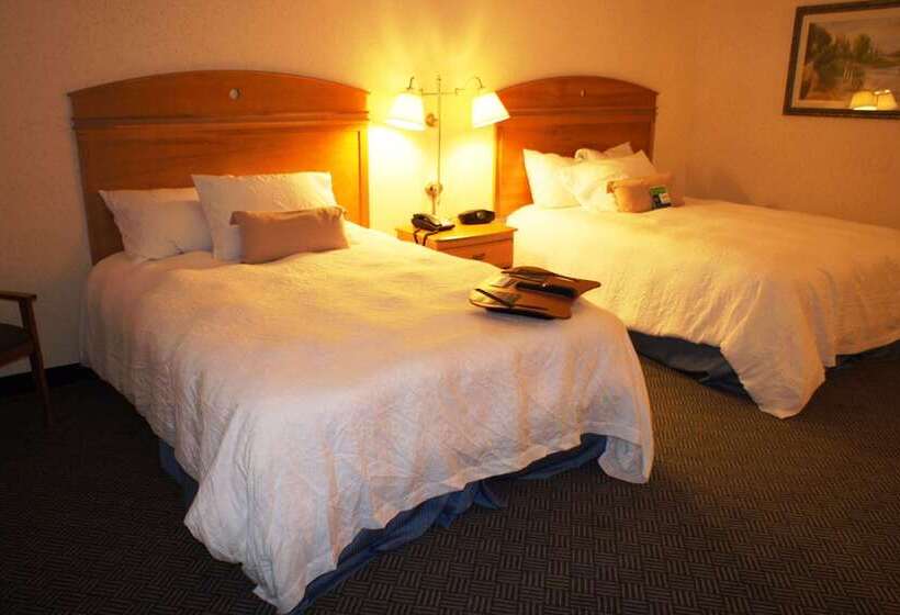 ホテル Hampton Inn Dallasrockwall