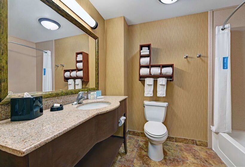Отель Hampton Inn Deming