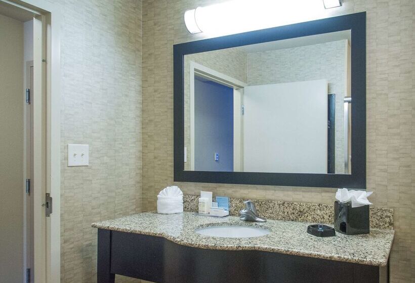 فندق Hampton Inn Greenville