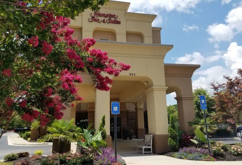 فندق Hampton Inn & Suites Atlsix Flags