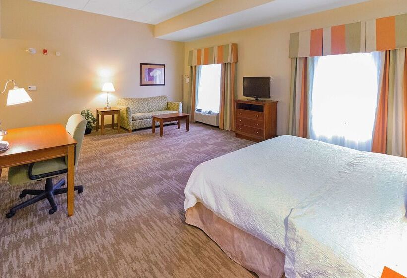 فندق Hampton Inn & Suites Blairsville