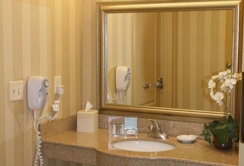 فندق Hampton Inn & Suites Chicago/st. Charles