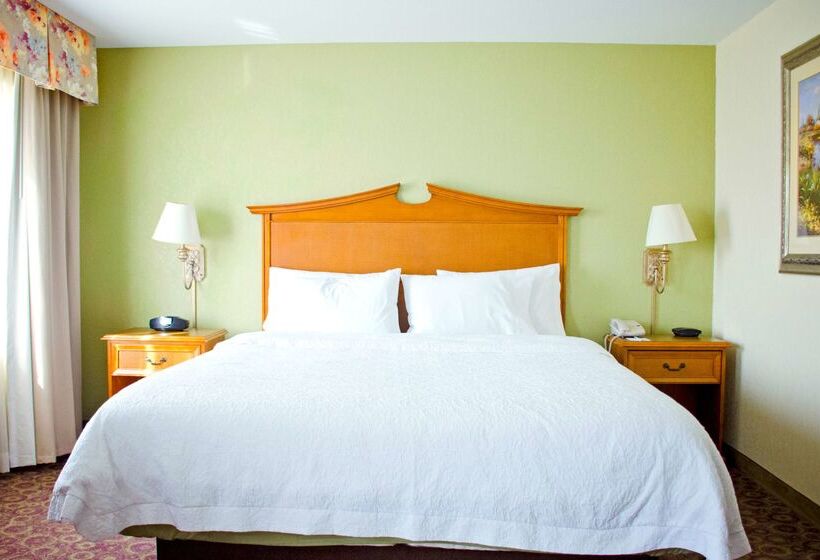 فندق Hampton Inn And Suites College Station