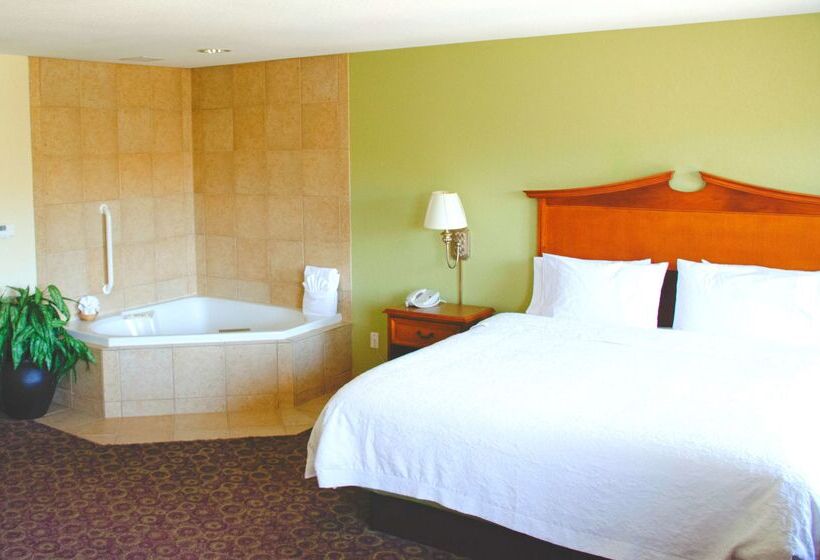 فندق Hampton Inn And Suites College Station