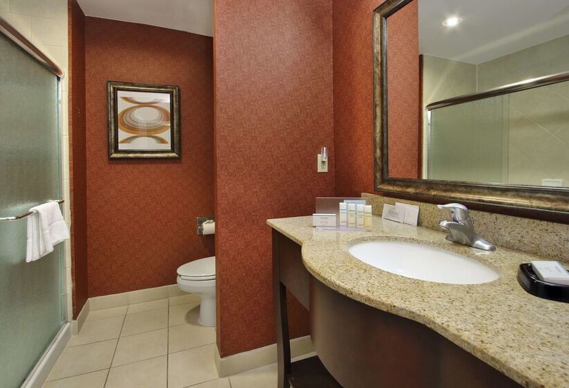 Отель Hampton Inn & Suites Conroe I45 North