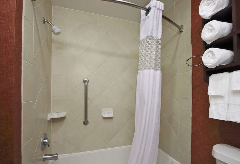 Отель Hampton Inn & Suites Conroe I45 North