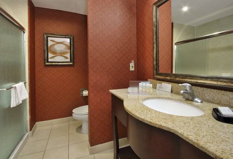Отель Hampton Inn & Suites Conroe I45 North