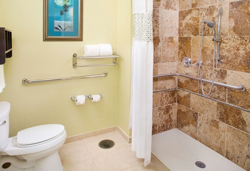 ホテル Hampton Inn & Suites Dallas/lewisvillevista Ridge Mall, Tx