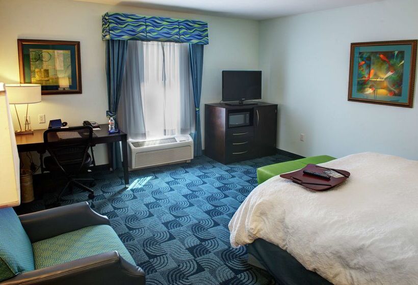 ホテル Hampton Inn & Suites Dallas/lewisvillevista Ridge Mall, Tx
