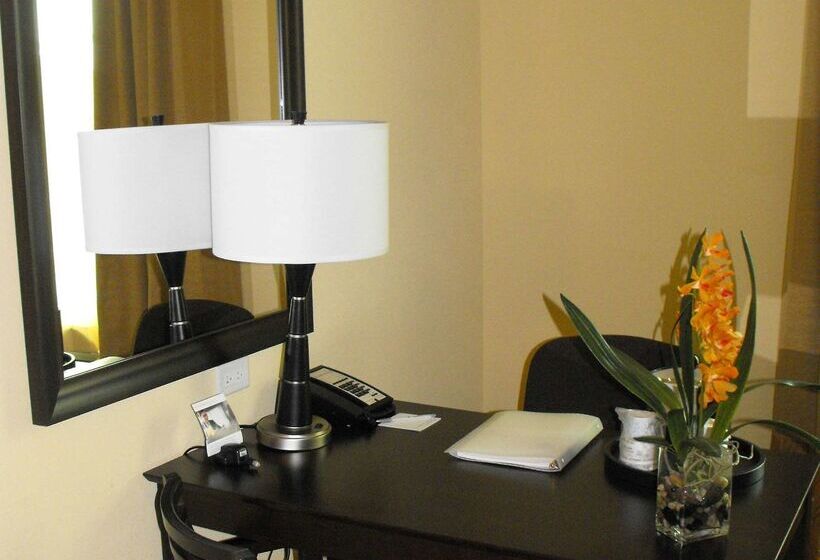 בית מלון כפרי Hampton Inn & Suites Homestead Miami South