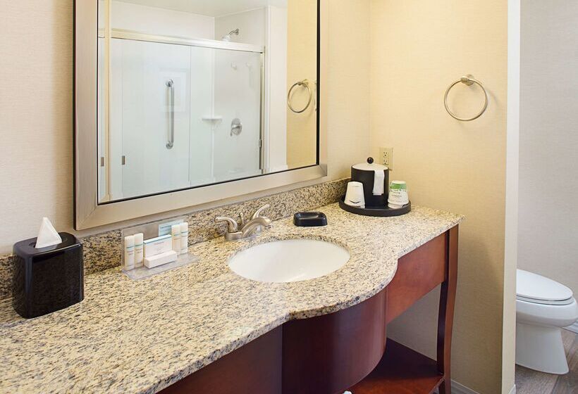 ホテル Hampton Inn & Suites Mansfield