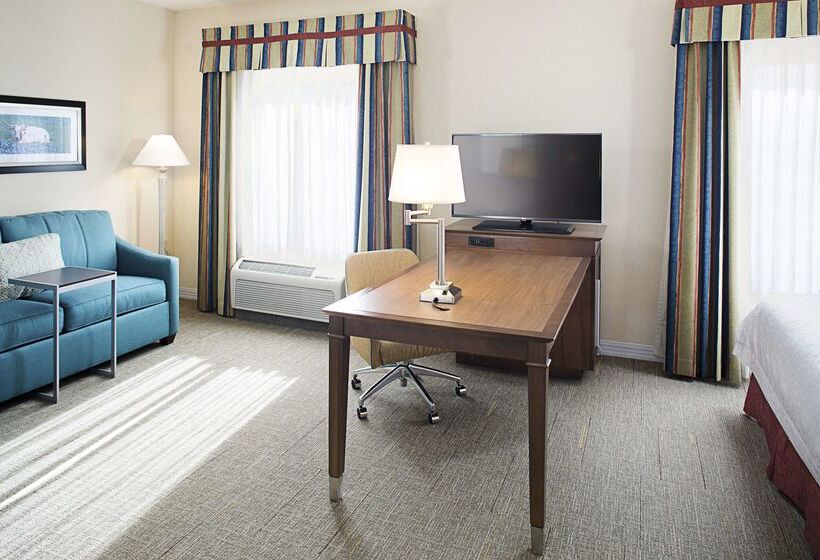 ホテル Hampton Inn & Suites Mansfield