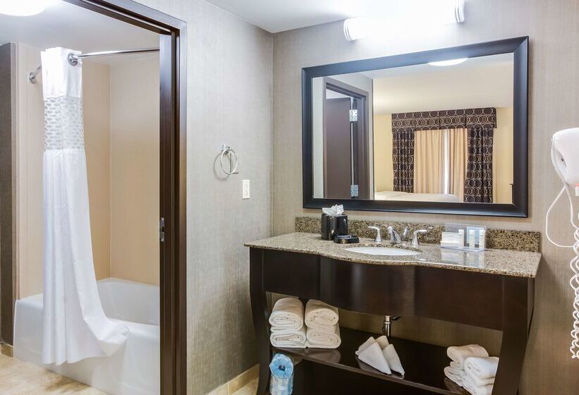 فندق Hampton Inn & Suites Mt. Juliet