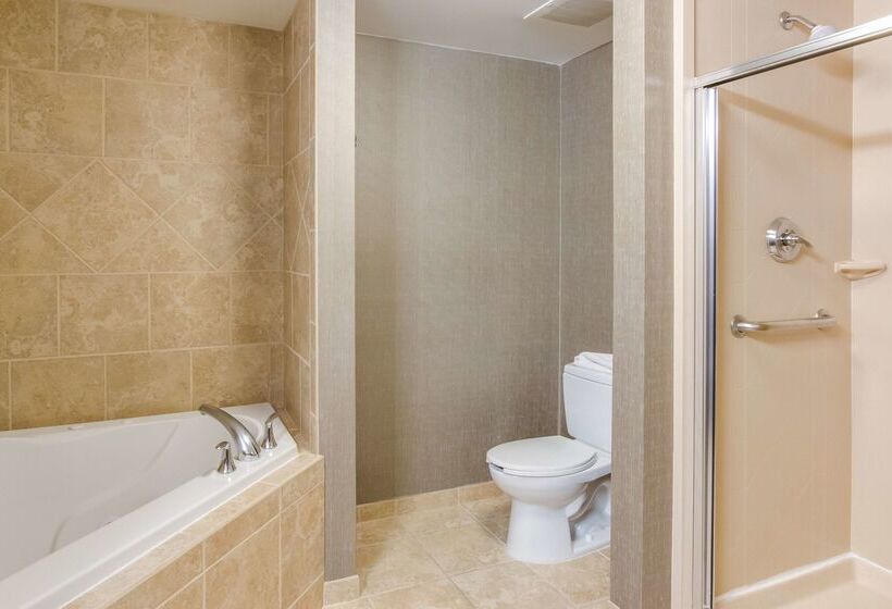 فندق Hampton Inn & Suites Mt. Juliet