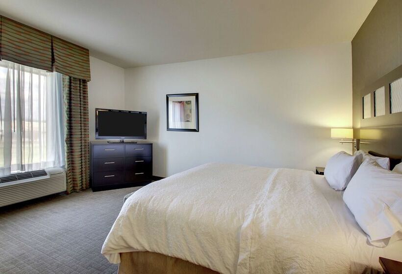هتل Hampton Inn & Suites Shreveport/south