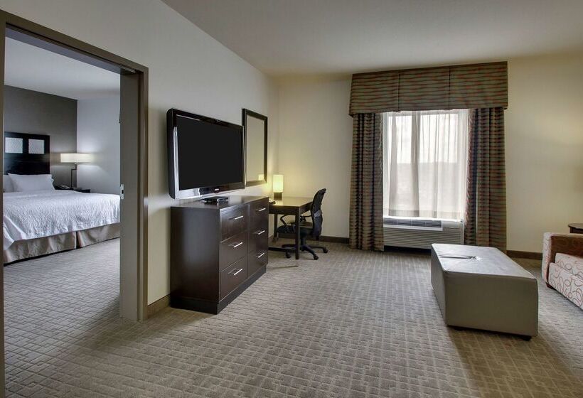 هتل Hampton Inn & Suites Shreveport/south