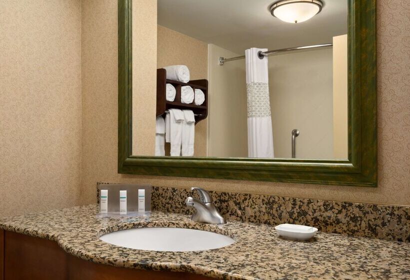 ホテル Hampton Inn & Suites Williamsburg Central