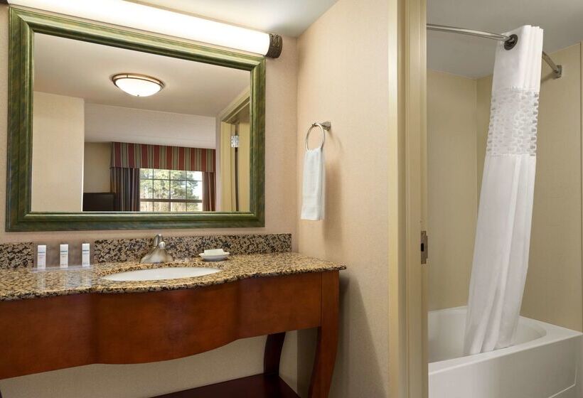 هتل Hampton Inn & Suites Williamsburg Central