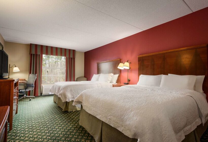 هتل Hampton Inn & Suites Williamsburg Central