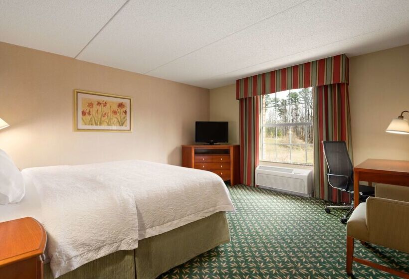 ホテル Hampton Inn & Suites Williamsburg Central