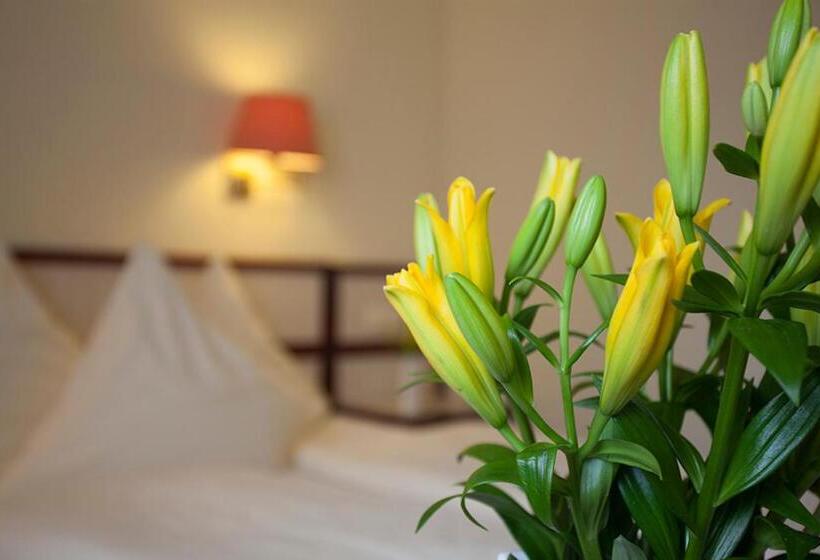 בית מלון כפרי Haus Union