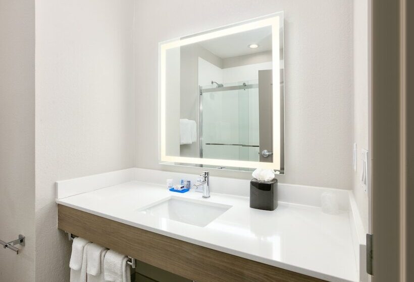 فندق Holiday Inn Express & Suites North Dallas At Preston, An Ihg