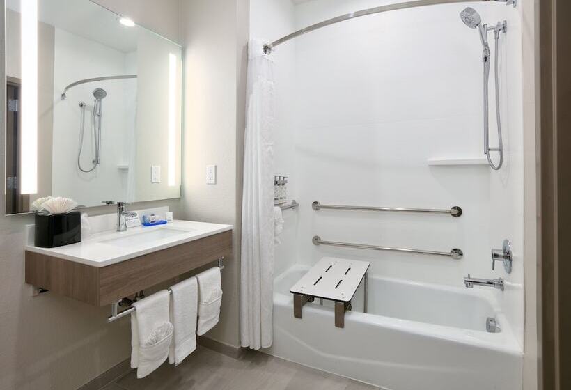 فندق Holiday Inn Express & Suites North Dallas At Preston, An Ihg