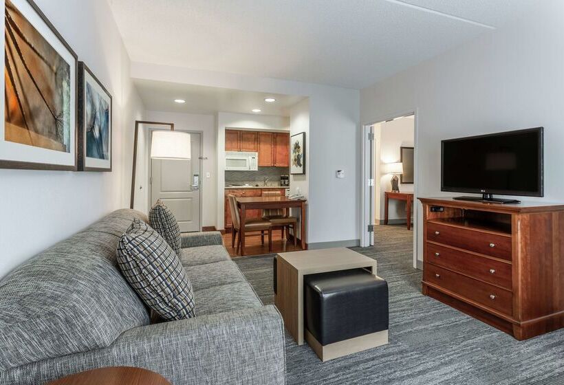 בית מלון כפרי Homewood Suites By Hilton Albany