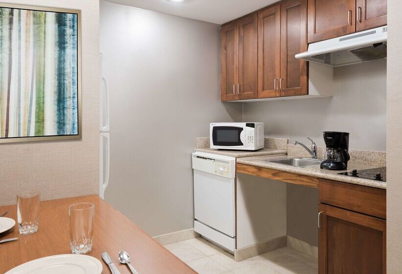 هتل Homewood Suites By Hilton Holyoke Springfield/north