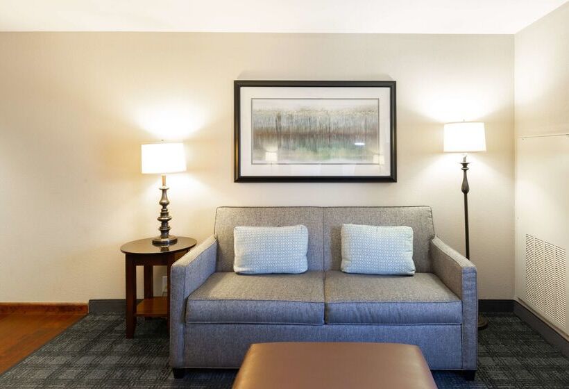 فندق Homewood Suites By Hilton Lawrenceville Duluth