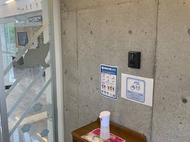 Iriomotejima Jungle Hotel Painumaya