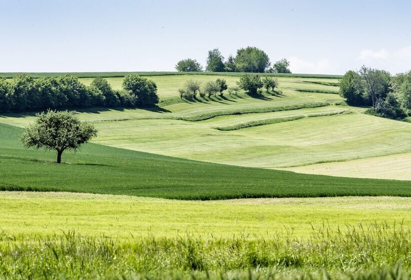 فندق Kloster Hornbach