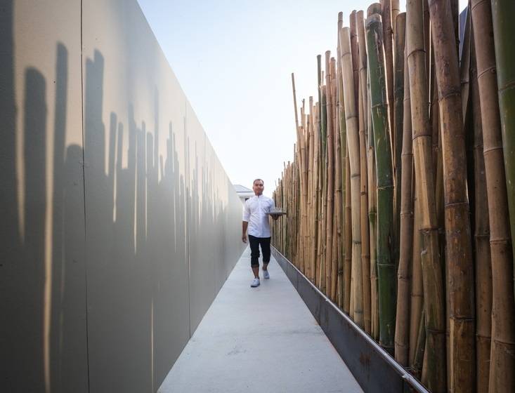 Hotel Loligo Resort Hua Hin + A Fresh Twist By Let S Sea