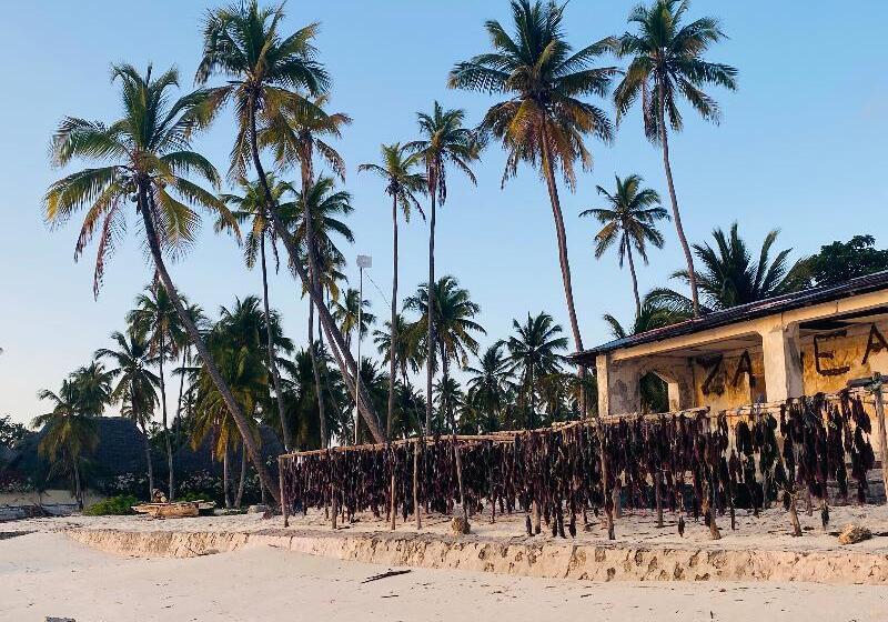 בית מלון כפרי Mbuyuni Beach Village