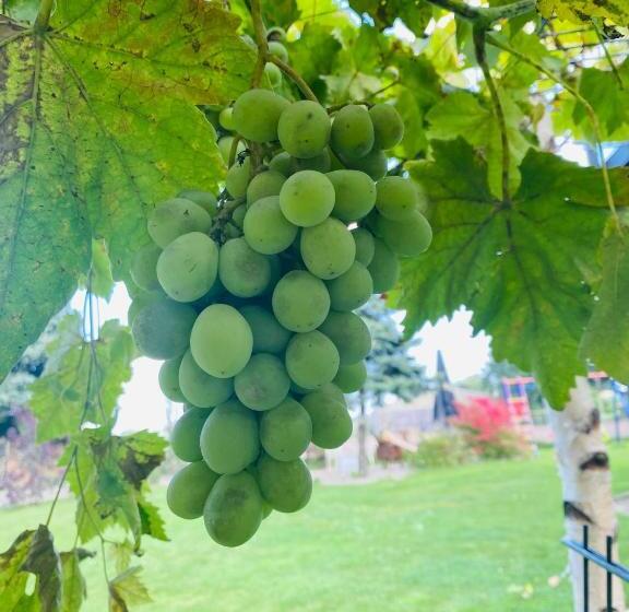 ホテル My Schildow