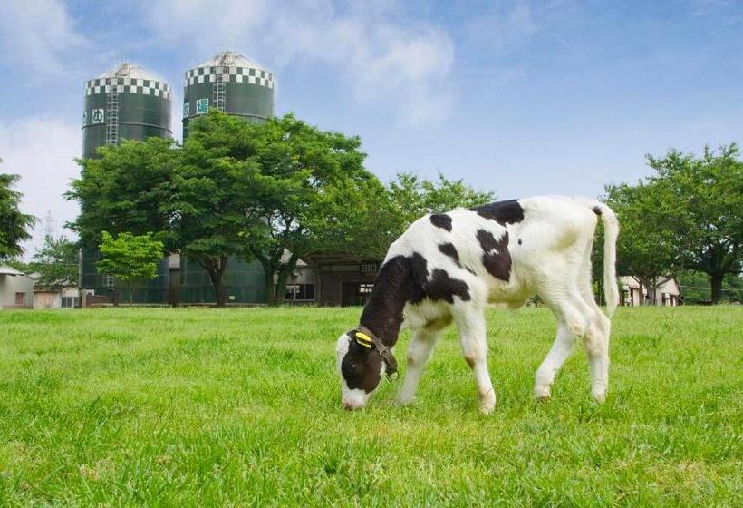 فندق Narita Ucity