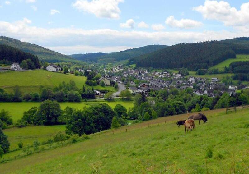 Отель Niedersfeld winterberg