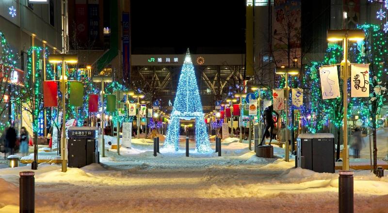 酒店 Omo7 Asahikawa By Hoshino Resorts