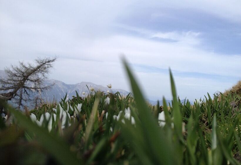 هتل Pension & Apartments Waldkrieber